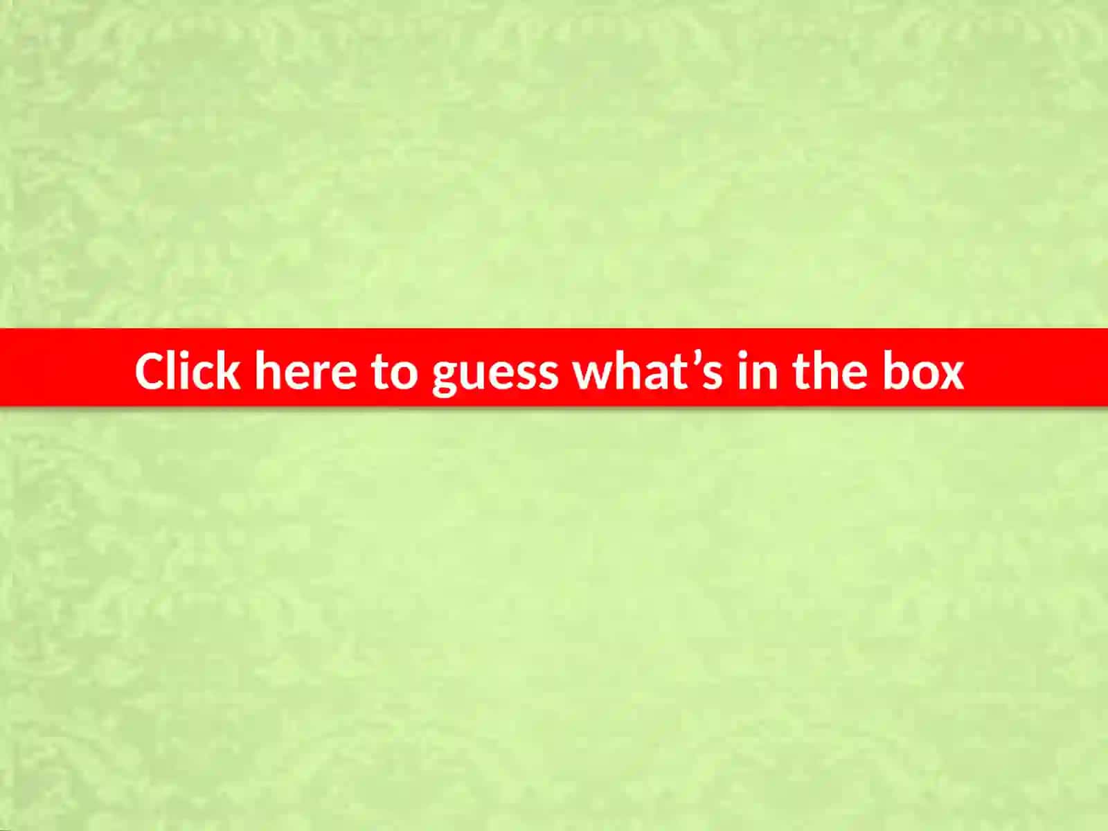 GUESSING GAME ON TOYS 3