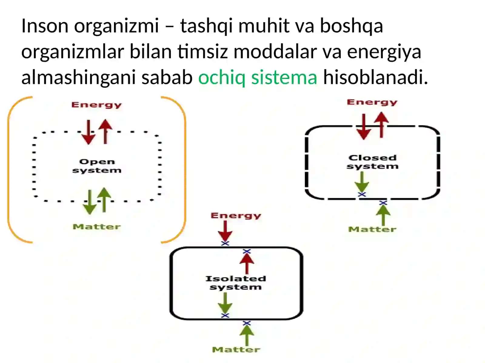 Ichkimuhit, Qonsistema sig'akirish 3