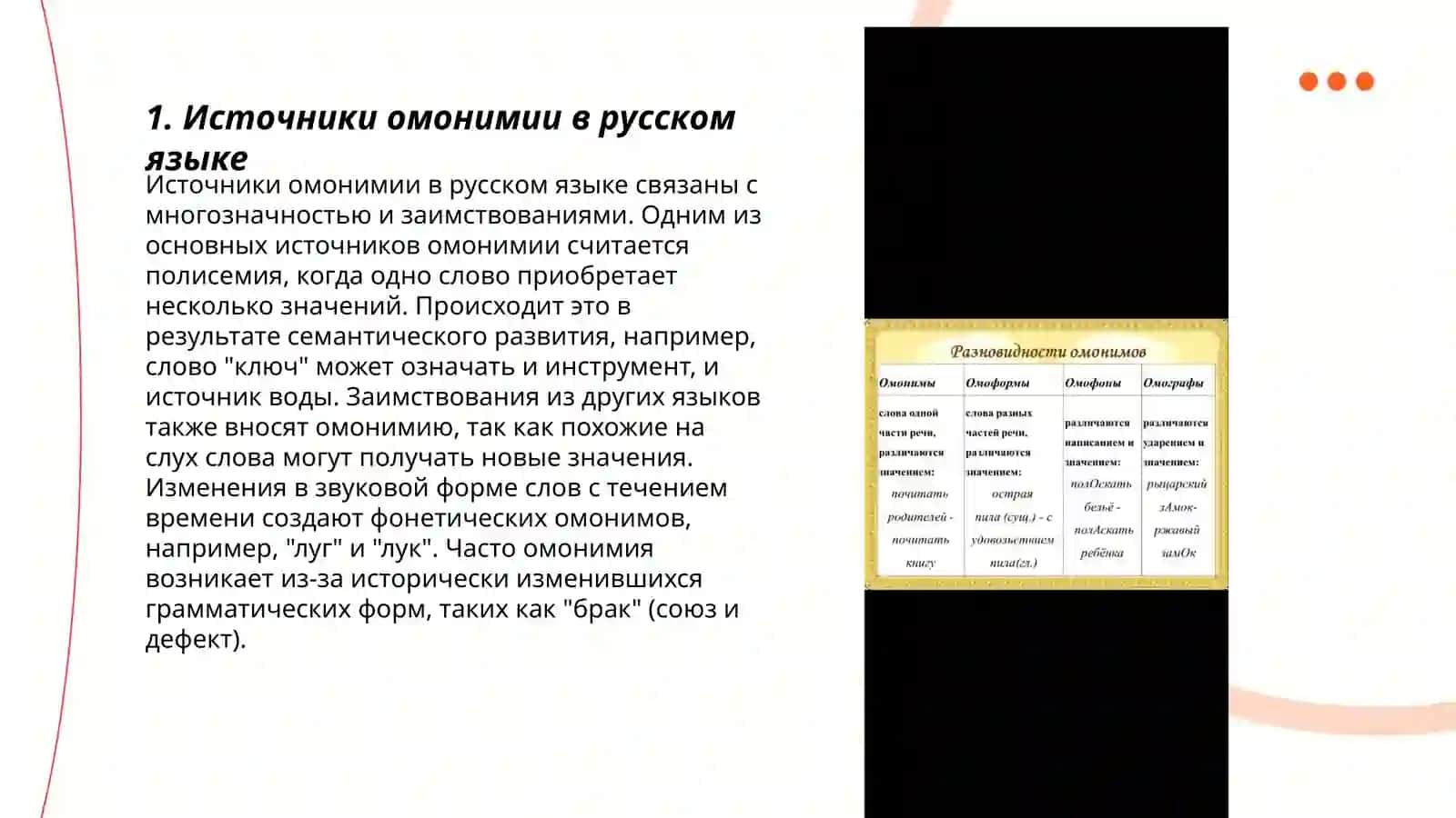 Омонимы в современном литературном языке 3