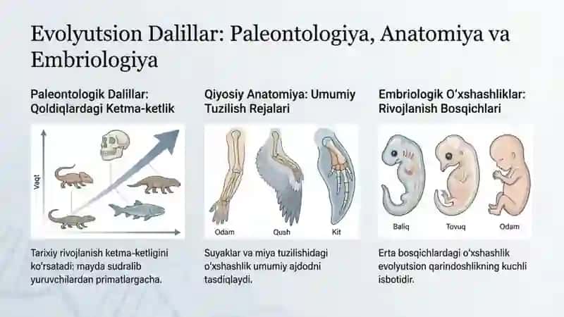 Tabiiy va jinsiy tanlanish nazariyalari 3