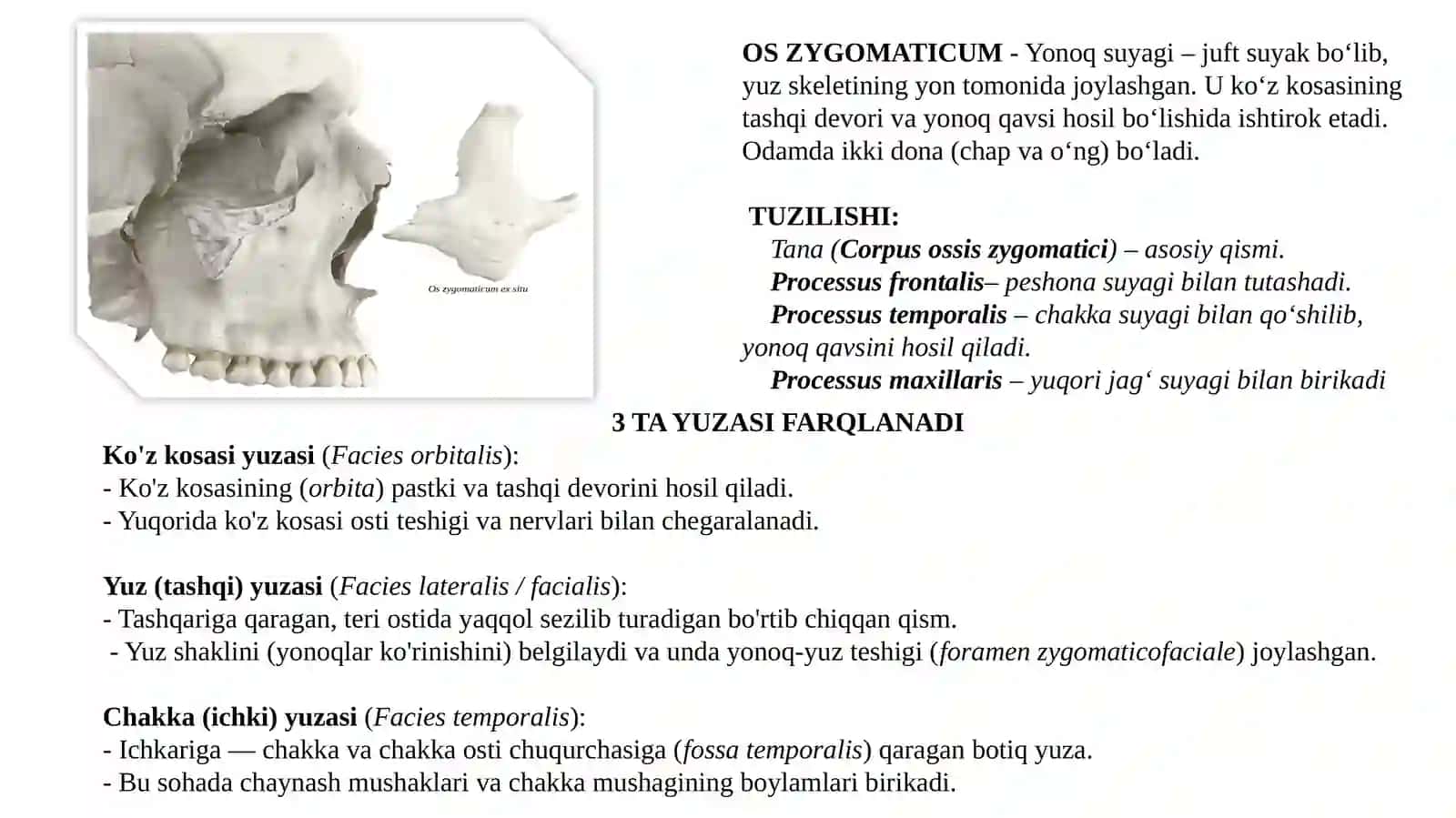 BOLALARDA YONOQ SUYAGINING RIVOJLANISH BOSQICHLARI 3