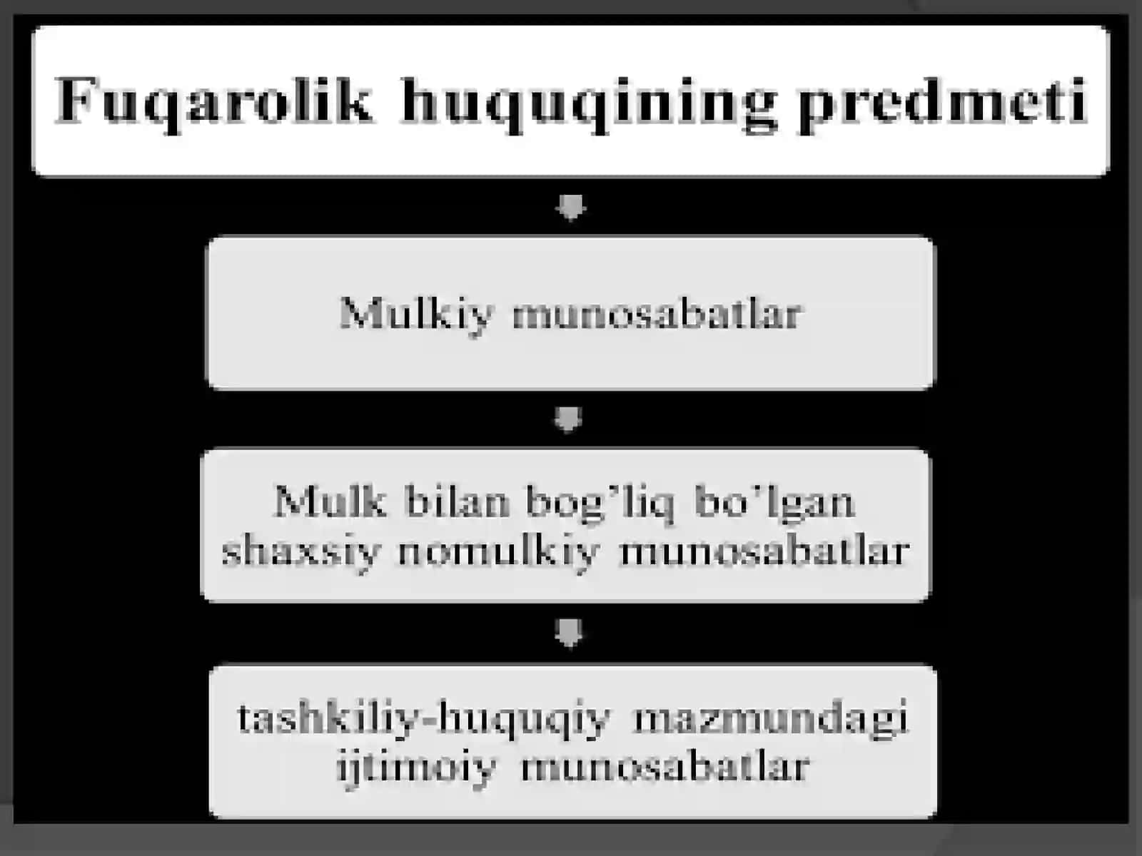 Fuqarolik protsessual huquqi tushunchasi, tizimi va prinsplari 3