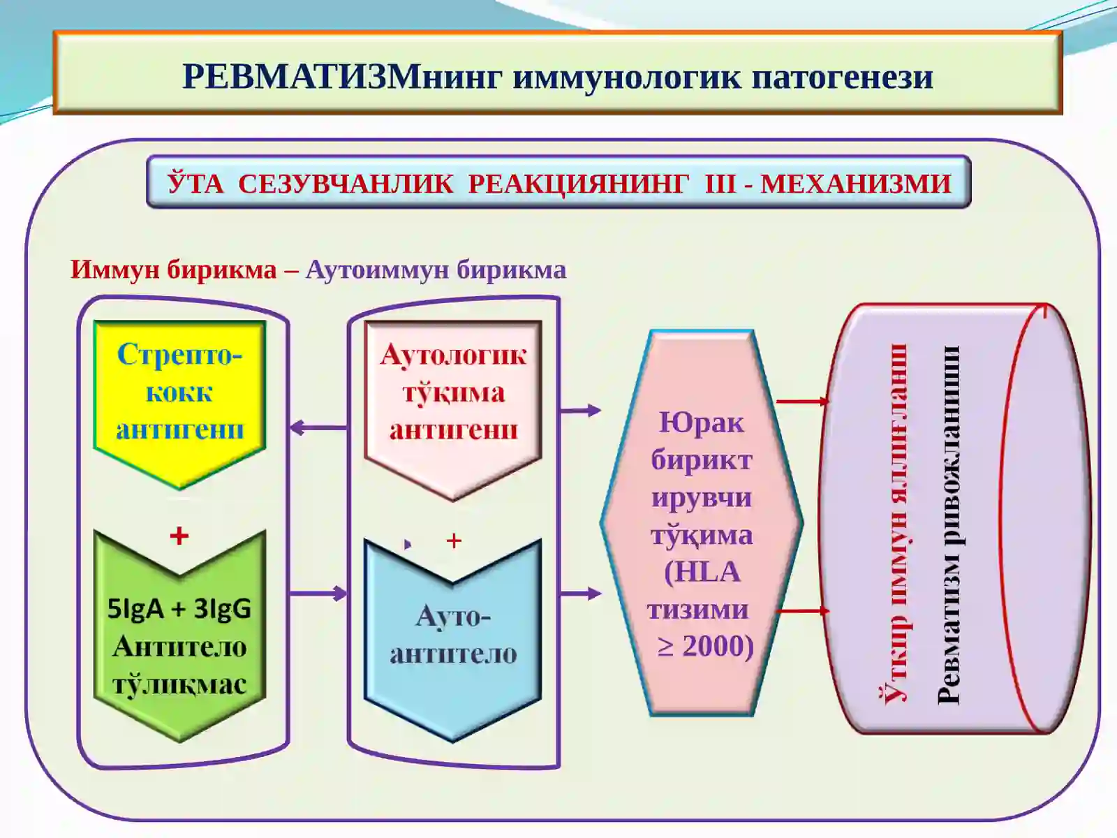 РЕВМАТИК КАСАЛЛИКЛАР 3