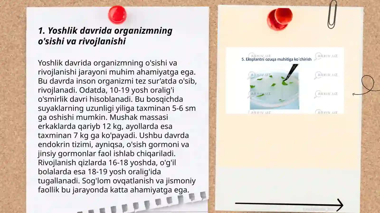 Yoshlik davrlarining morfologik va fiziologik xususiyatlari 3