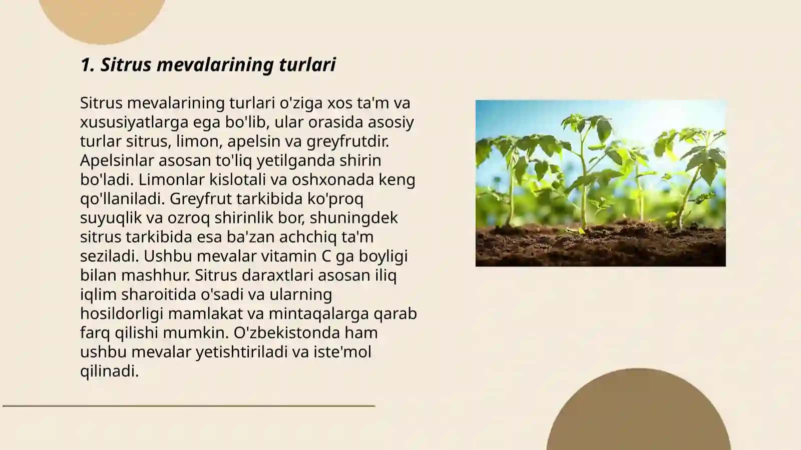 Citrus mevali osimliklar yetishtirish texnologiyasi 3