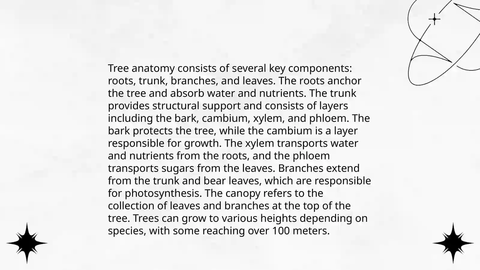 Trees 3
