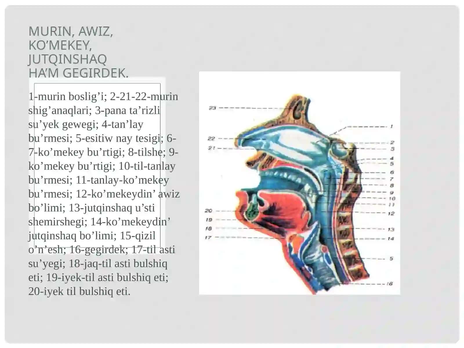 Assin’iriwsistemasi 3