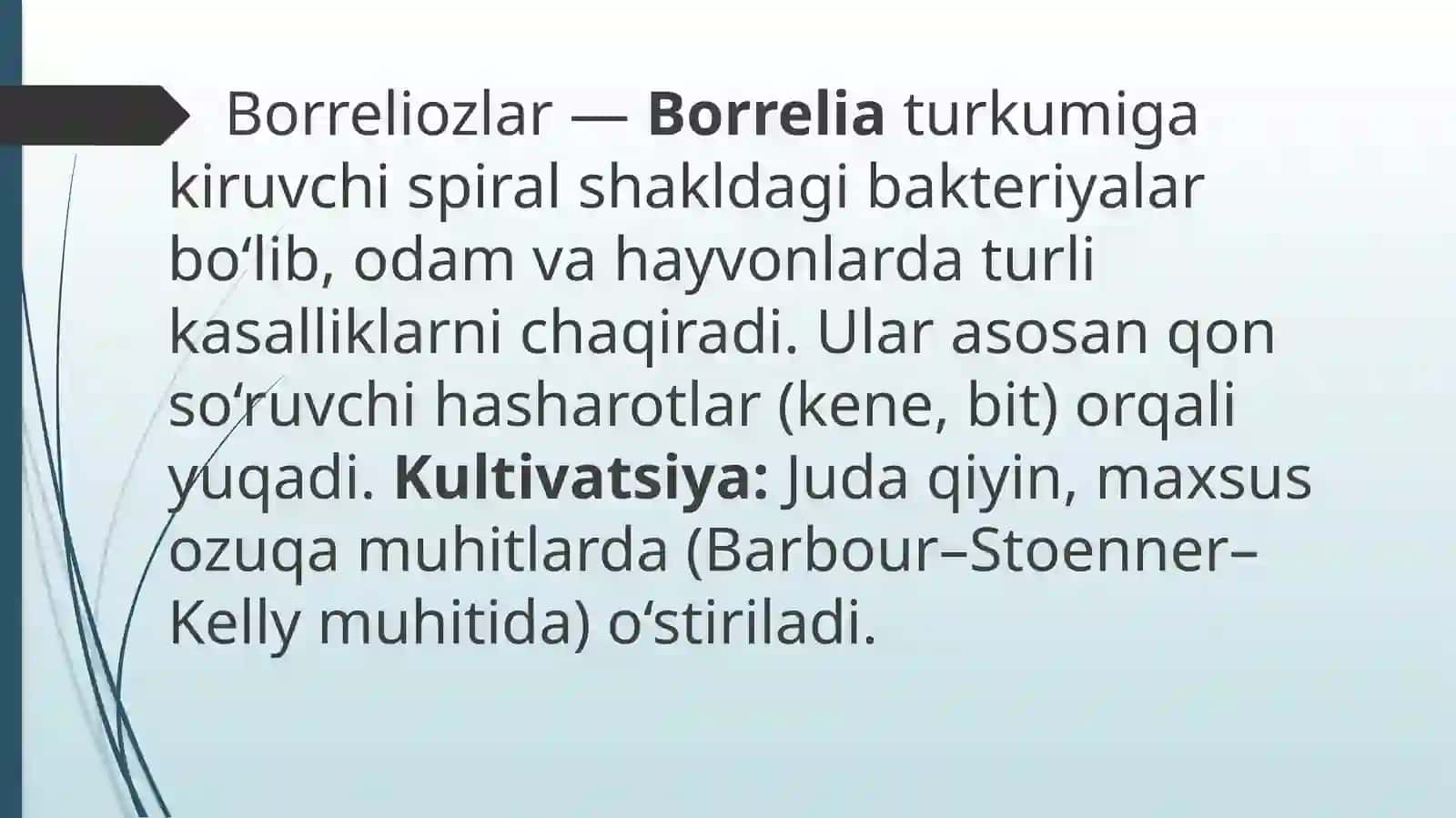 MAVZU:Borreliozlar morfoligiyasi,strukturasi,tarqanligi keltirib chiqaruvchi kasalliklari labaratoriya diagnostika haqida to'liq ma'lumot 3
