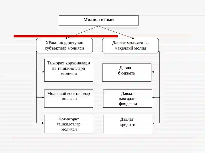 Молия тизими 3