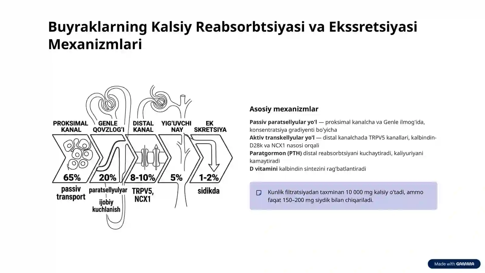Buyraklarning Kalsiy, Fosfor va Bikarbonat Almashinuvidagi Ahamiyati va Biokimyosi 3
