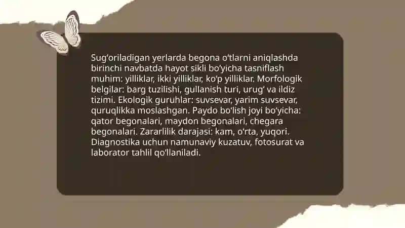 Sugʻoriladigan yerlarda òsadigan ashadiy begona òtlar 3