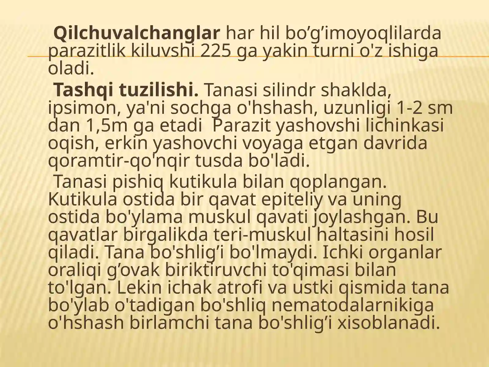 Qilchuvalchanglar sinfi 3