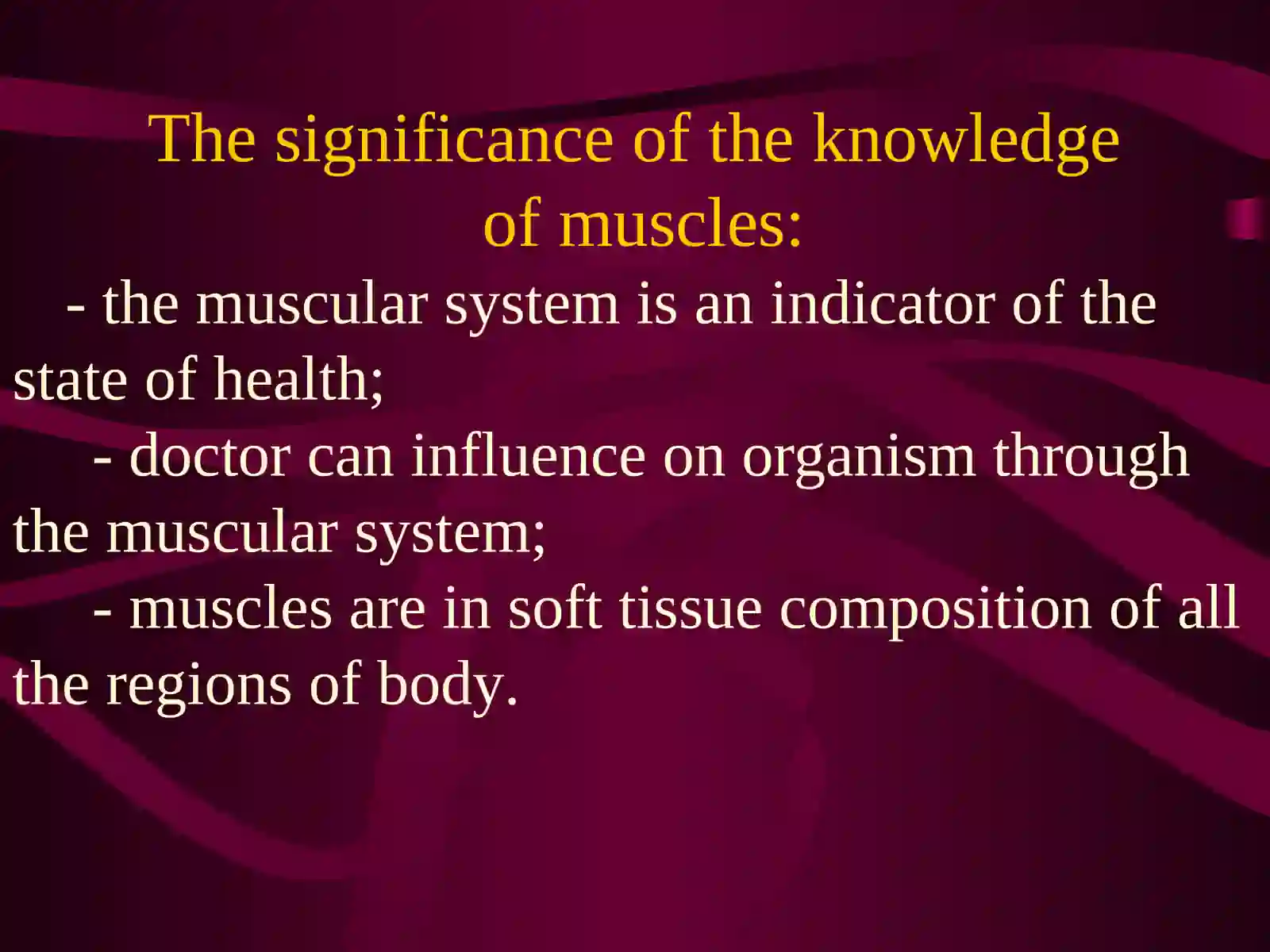 The muscular system 3