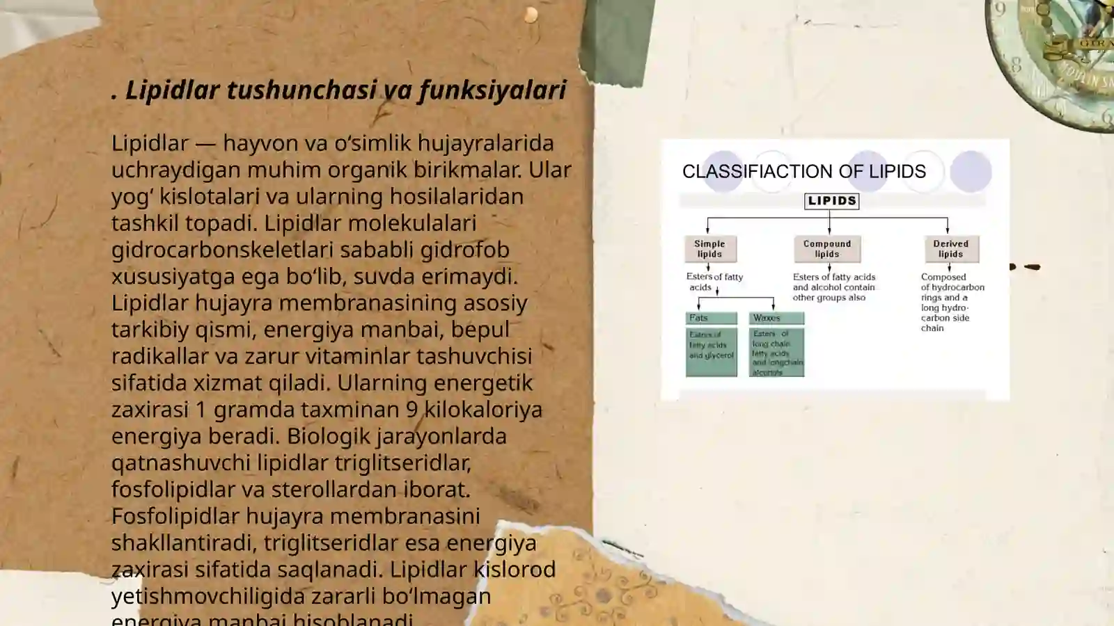 Lipidlar 3
