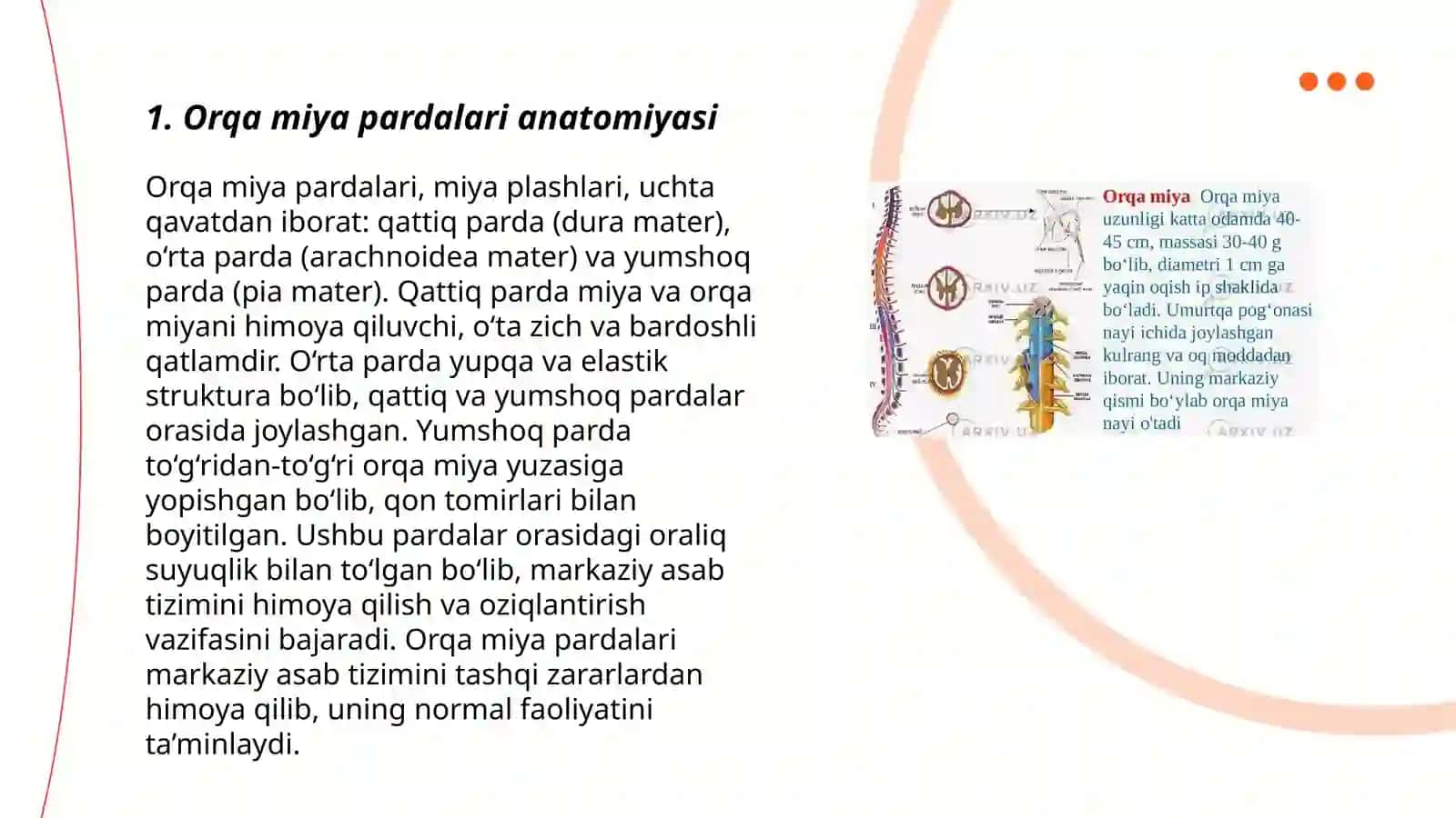 Orqa miya pardalari va suyuqligi 3