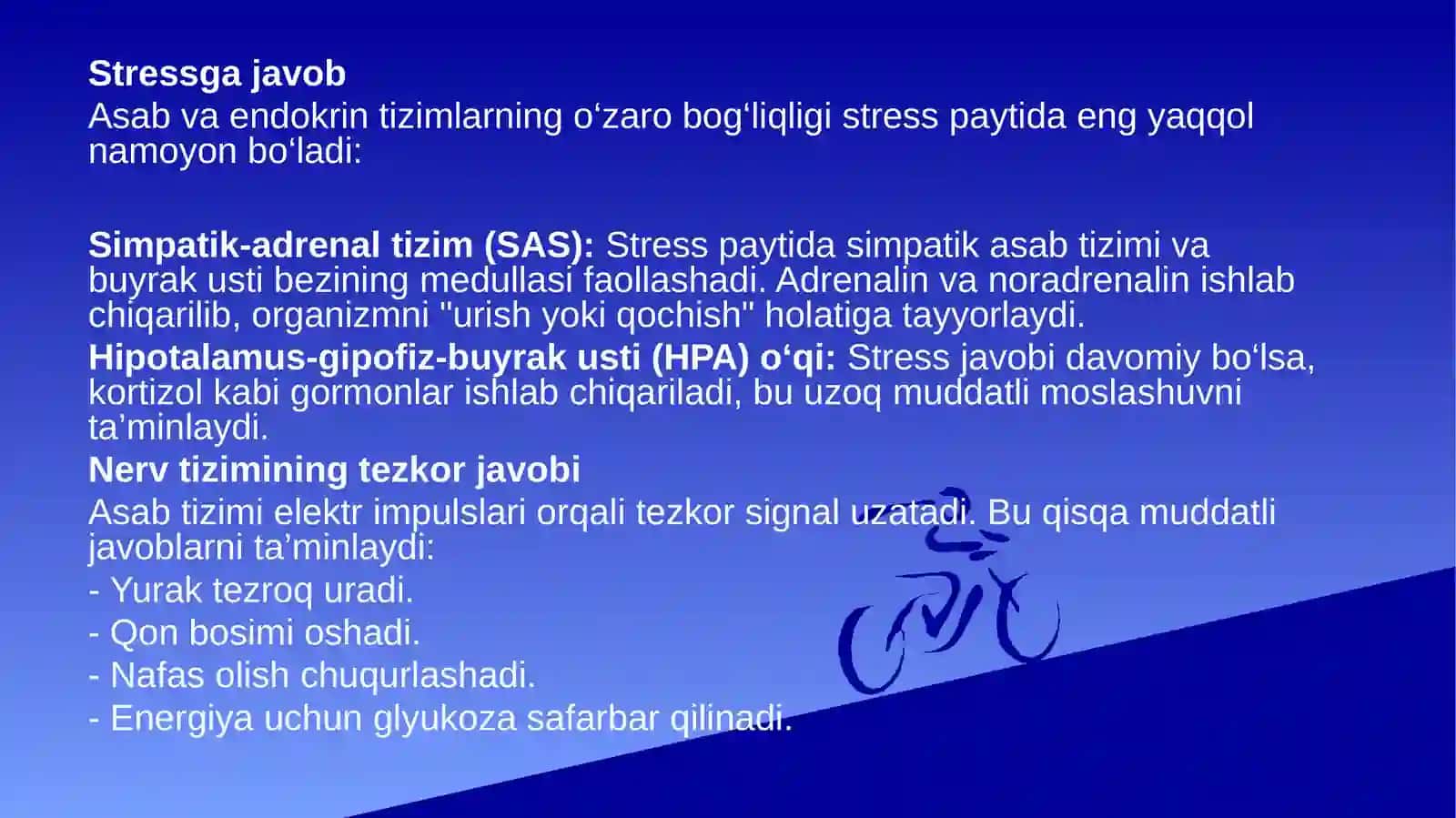 Markaziy asab tizimining boshqa tizimlar bilan o‘zaro aloqasi 3