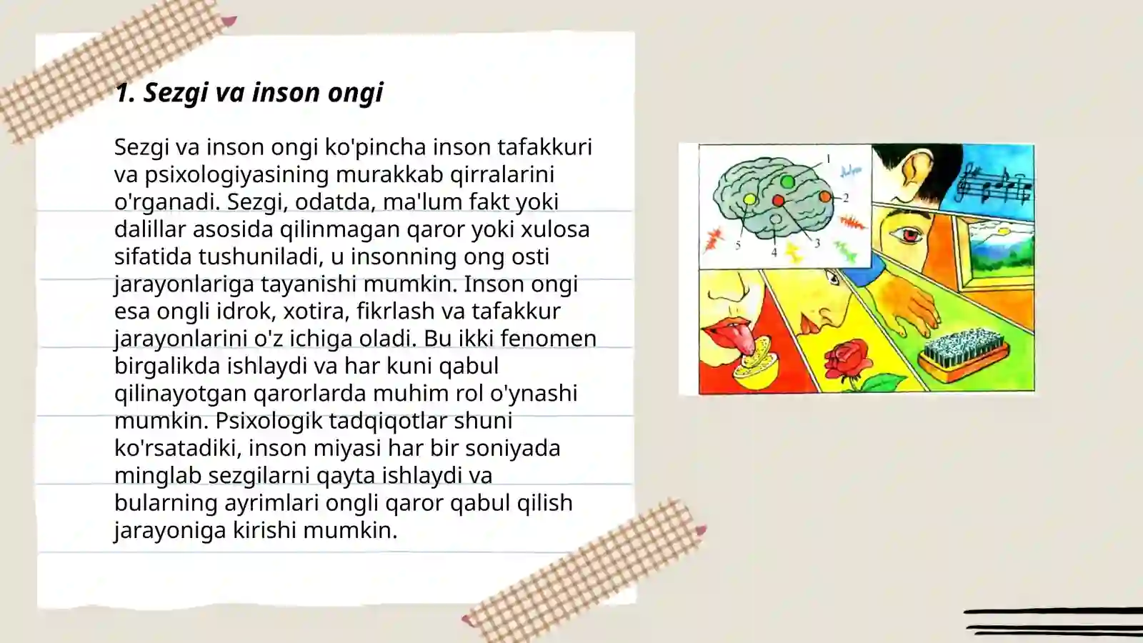 Sezgi 3