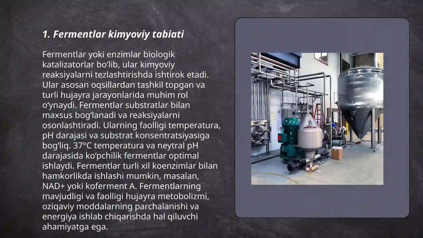 Fermentlar 3