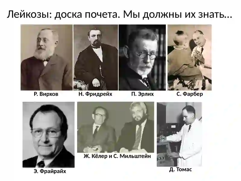 Лейкозы классификация лейкозов 3