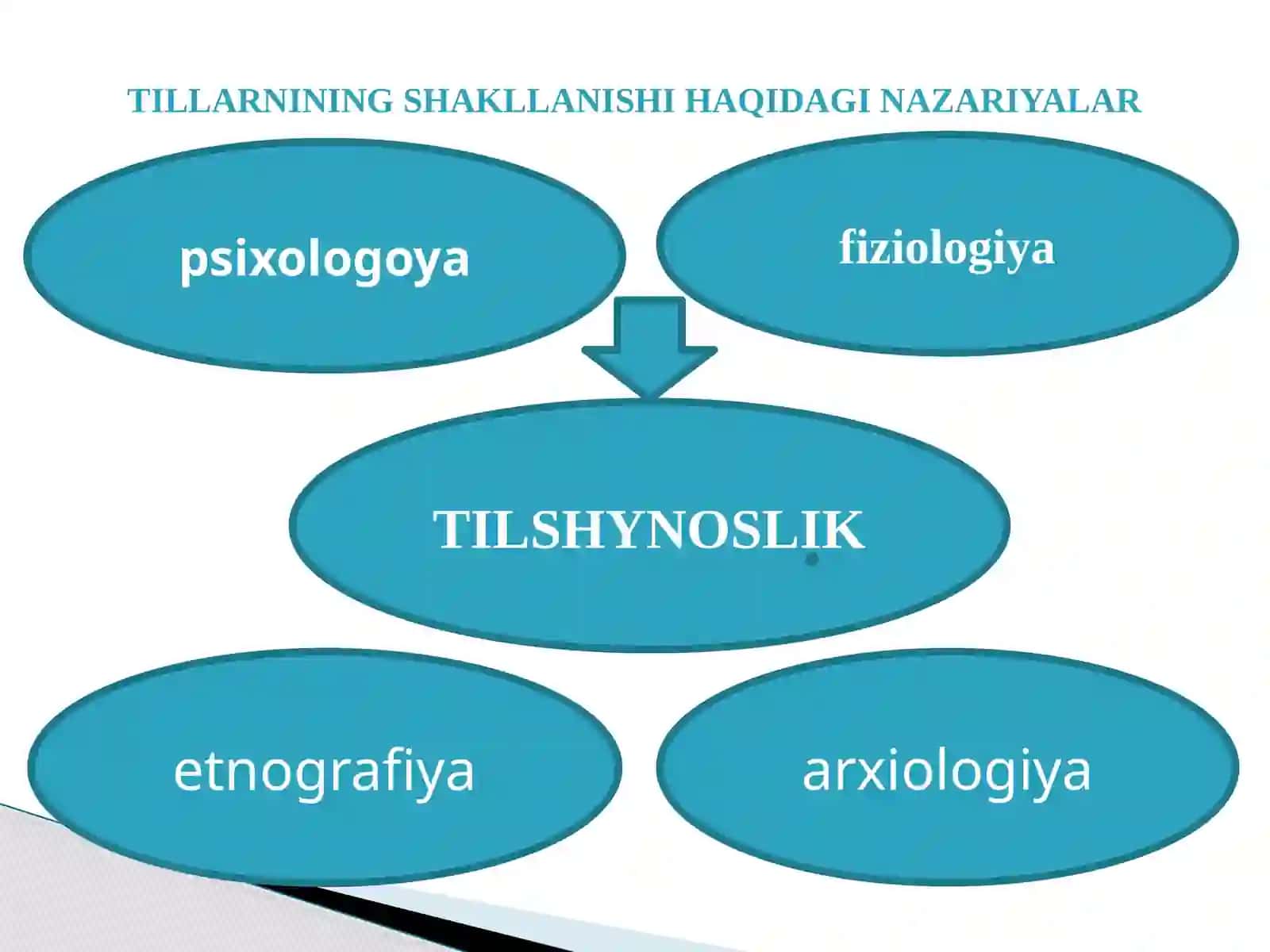 TILLARNINING SHAKLLANISHI HAQIDAGI  NAZARIYALAR. YOZUVNING TARIXIY AHAMIYATI 3