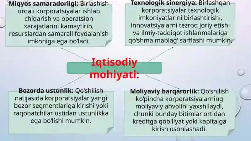 Korporativ birlashmalar va ularda korporativ boshqaruv mexanizmi 3