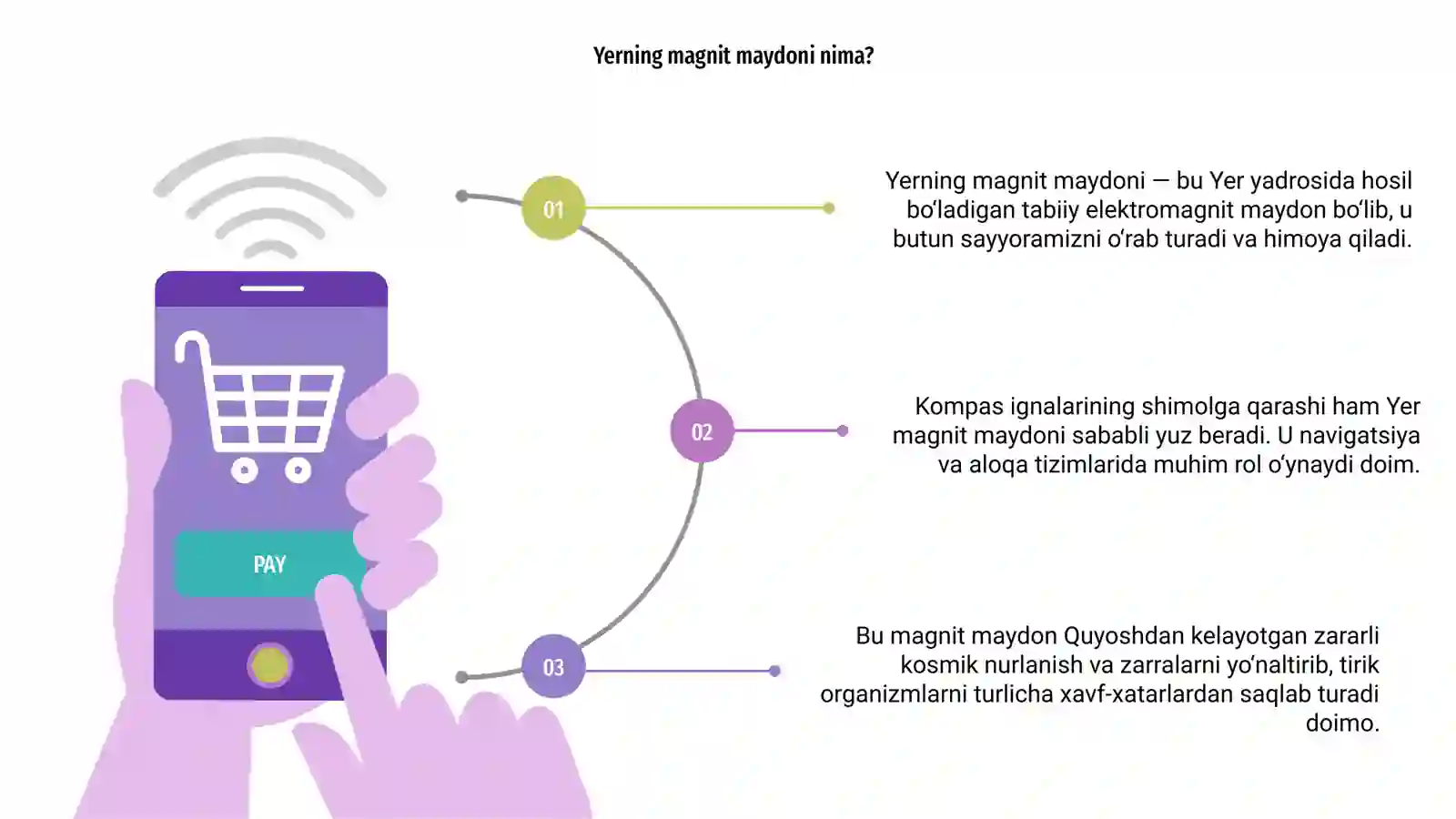 Yerning magnit maydoni 3