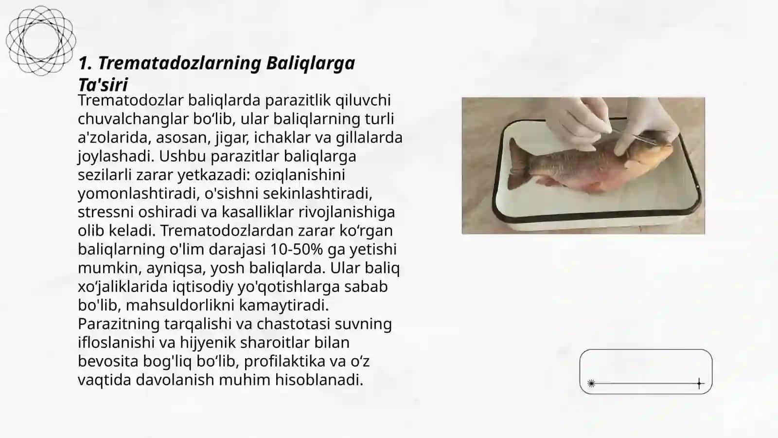 Trematadozlarning Baliqlarga Ta'siri 3