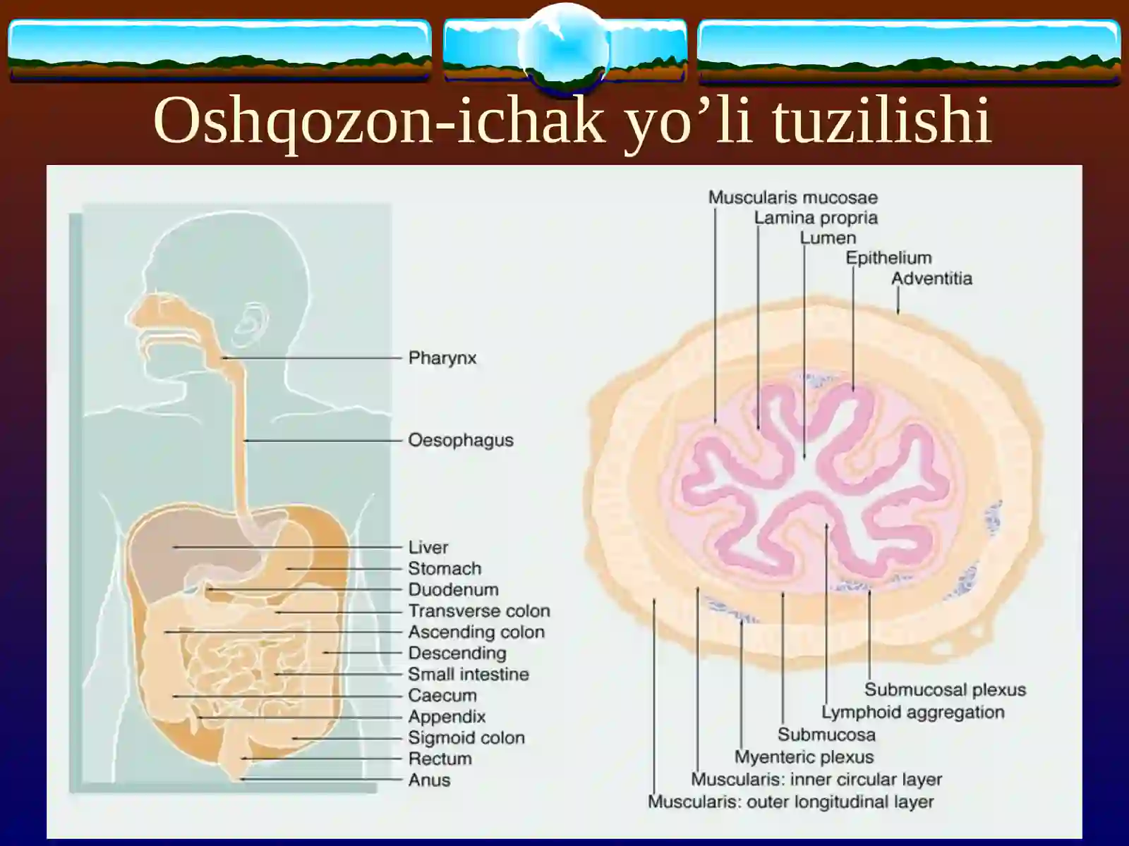 surunkali kolit 3