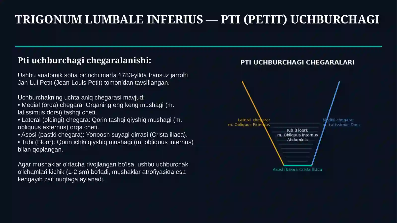 PTI UCHBURCHAGI VA BEL SOHASI CHURRALARI — ANATOMIYASI, TASHXISI VA DAVOLASH | 15 SLAYDLI TAQDIMOT 3