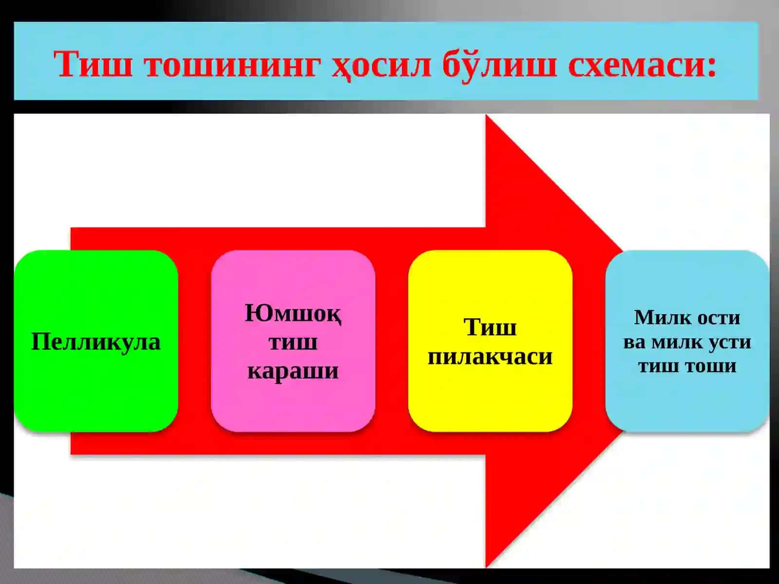 Тишкарашлари ва тошлари таснифи 3
