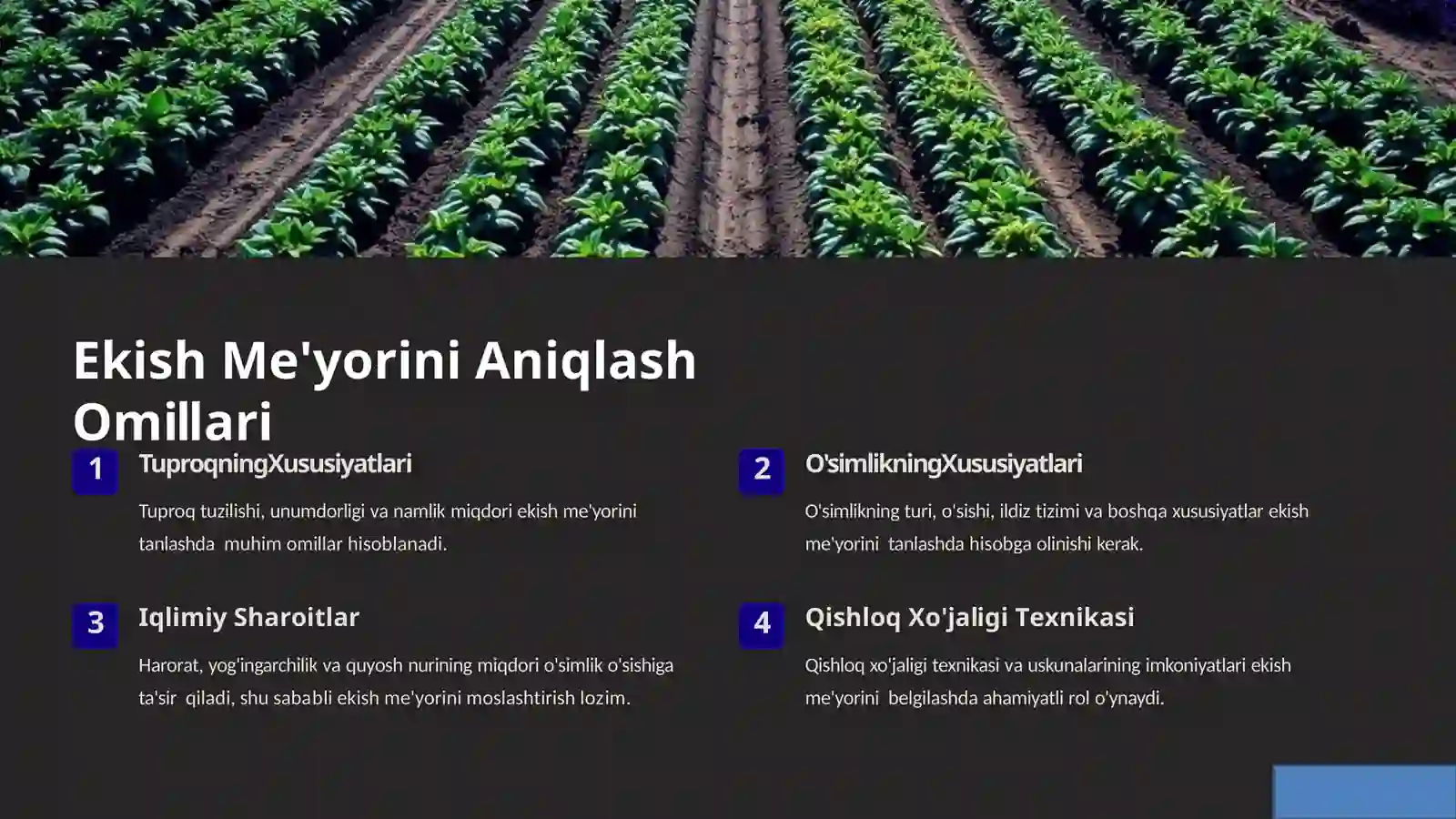 Hosilni  rejalashtirishda  ekish  me’yorining  o‘rni 3