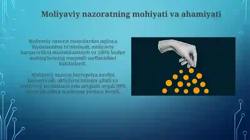 Moliyaviy nazorat 3