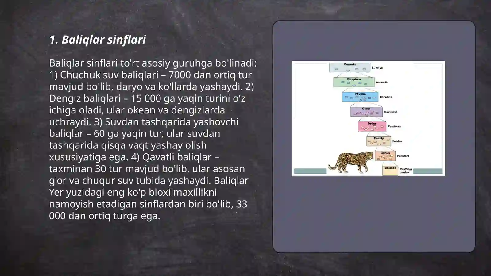 Baliqlar sinflari 3
