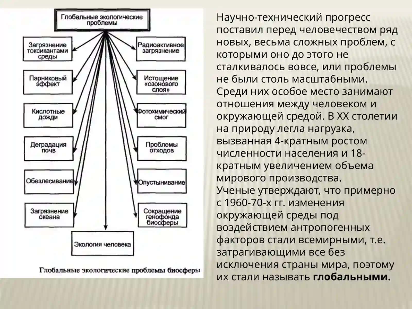 Глобальная экологическая проблема. 3