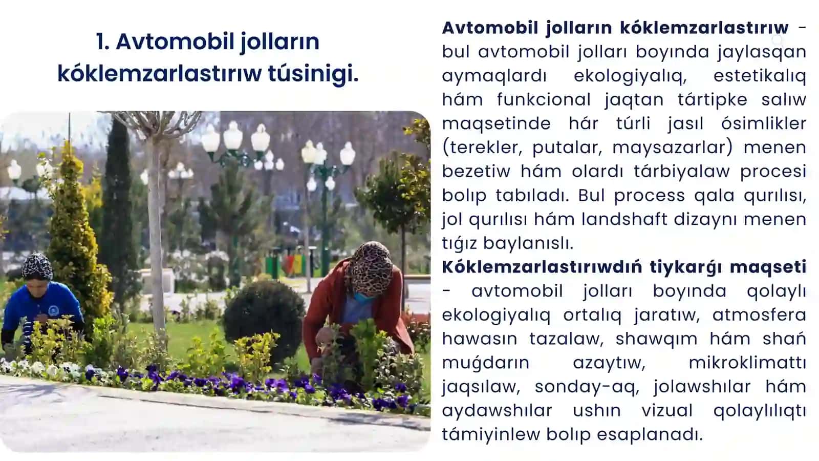 Avtomobil jolların kóklemzarlastırıwdiŃ túrleri 3