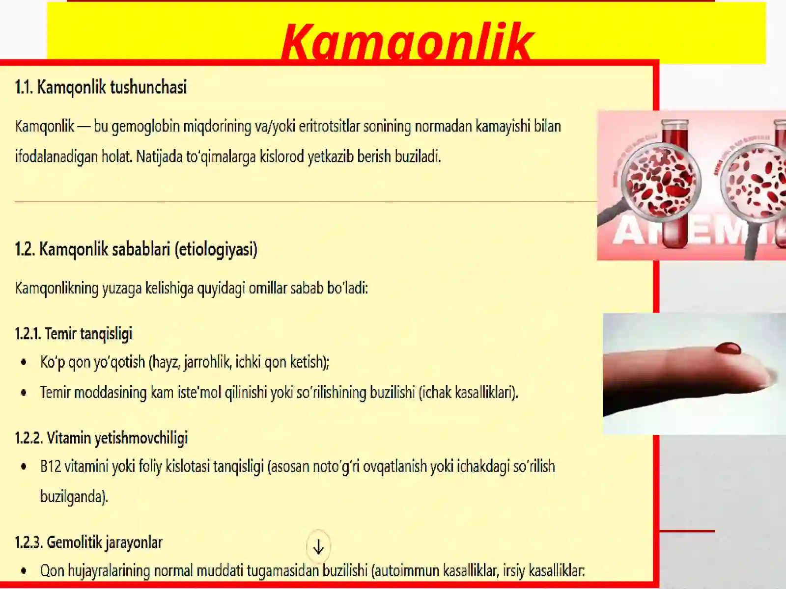 Kamqonlik 3