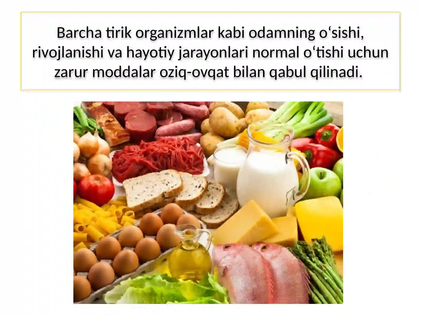 ODAMNING OVQAT HAZM QILISH SISTEMASI 3