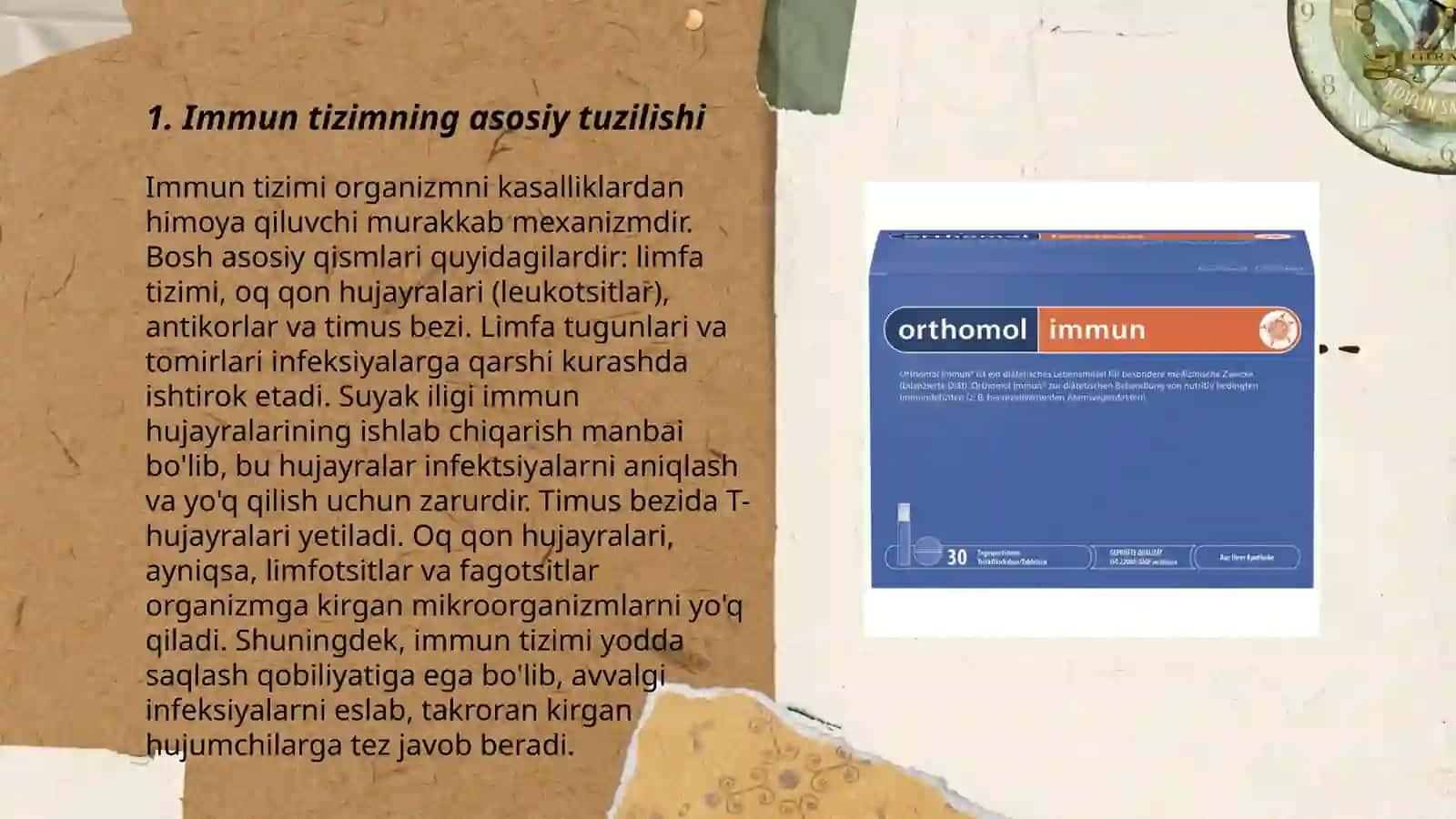 Immun tanqislikning fiziologik asoslari 3