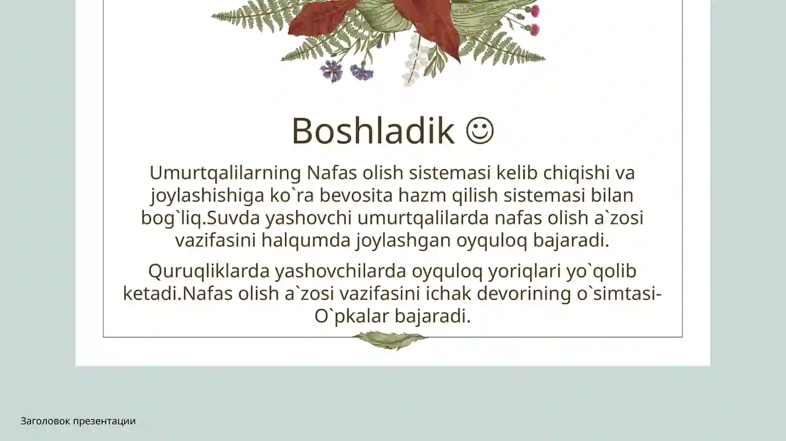 Umurtqalilar nafas olish sistemasi filogenezi 3