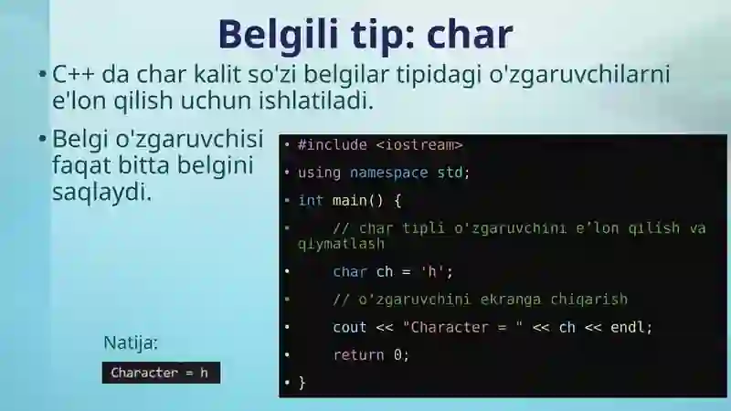 Belgilar tipi: char 3