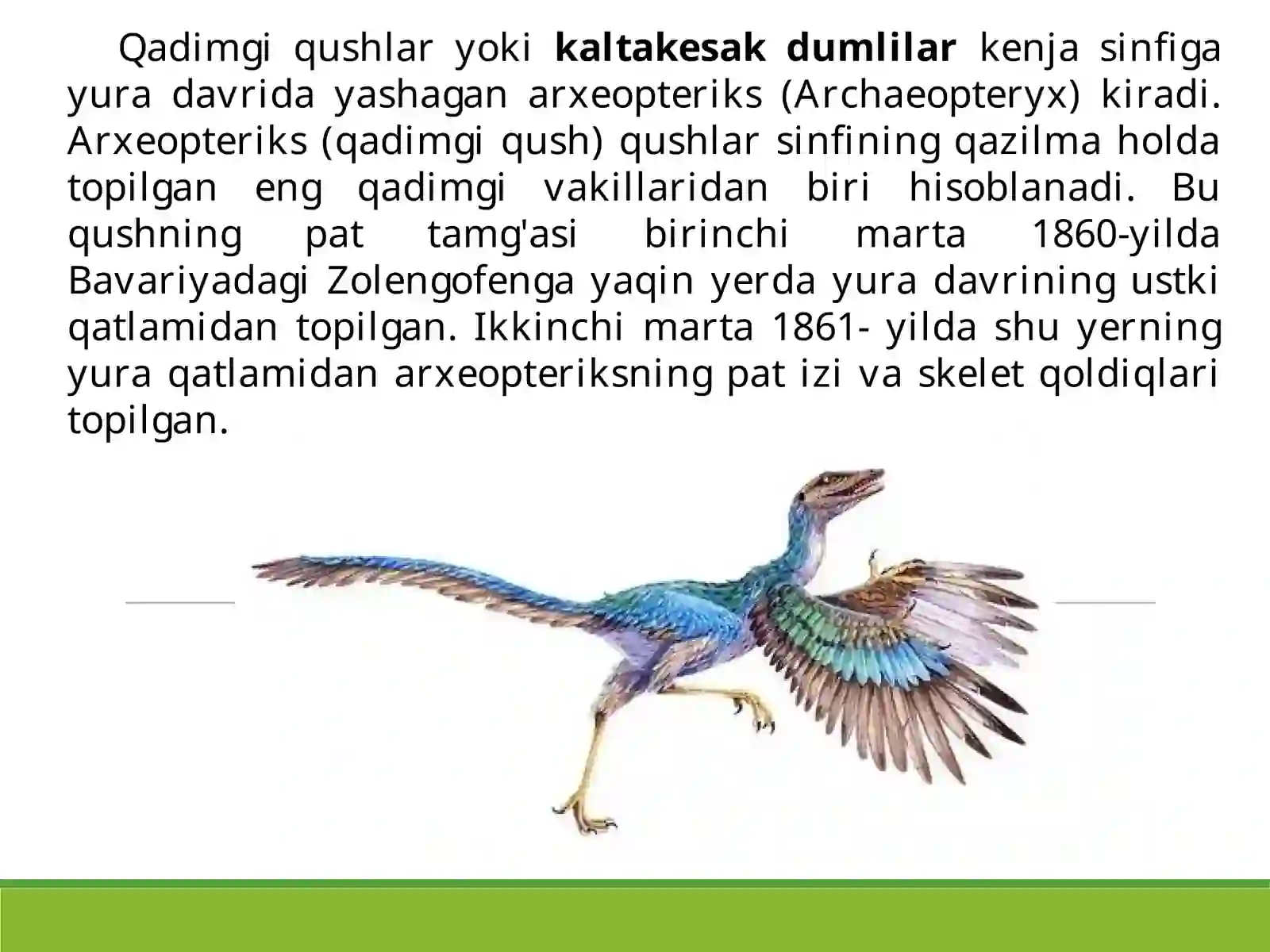 Qushlarsinfining sistematikasi 3