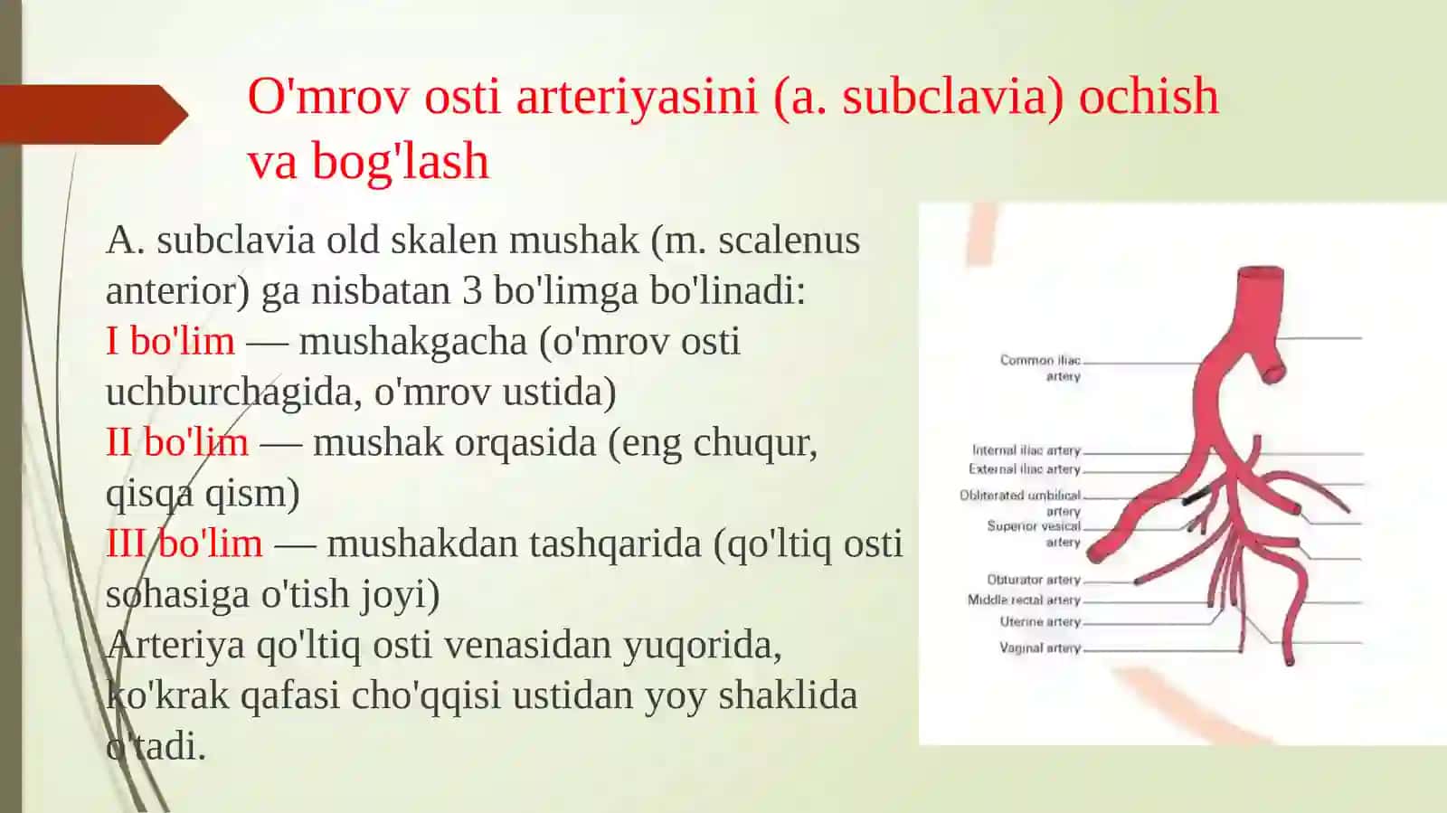 Qo‘l va oyoqning operativ xirurgiyasi 3