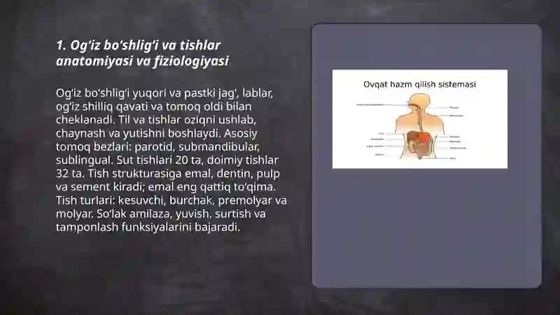 Ovqat hazm qilish aʼzolari anatomiyasi fiziologiyasi xususiyatlari 3