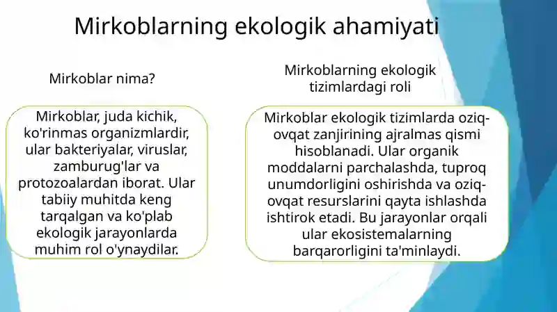 Mirkoblar 3
