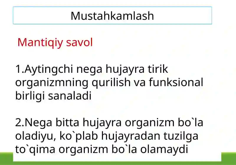Preview 3