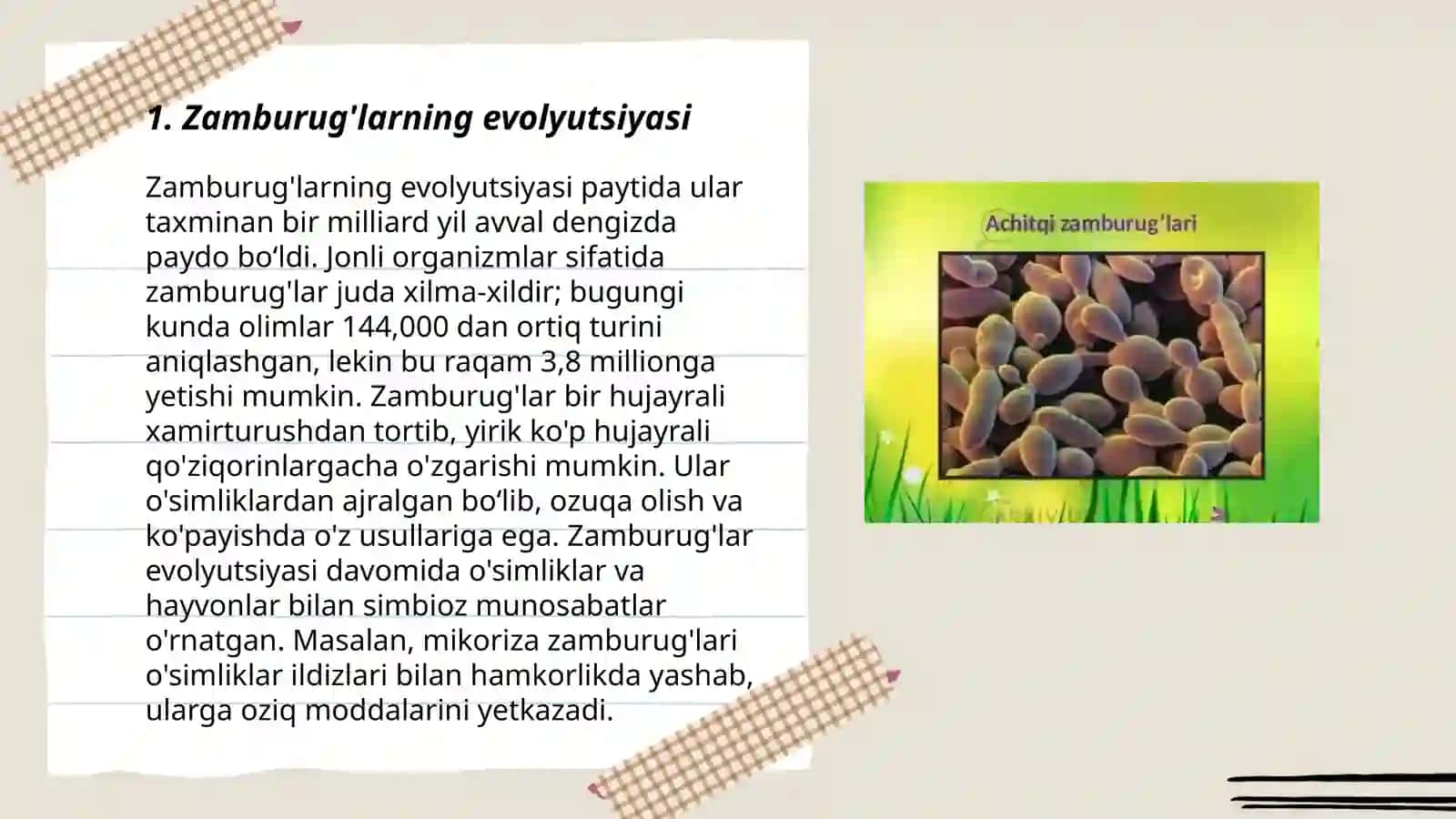 Zamburug'larning evolyutsiyasi, tarqalishi va ahamiyati 3
