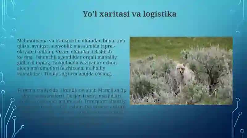 Farğona vodiysi geografik kurslarida ekskursiyalar uyushtirish 3