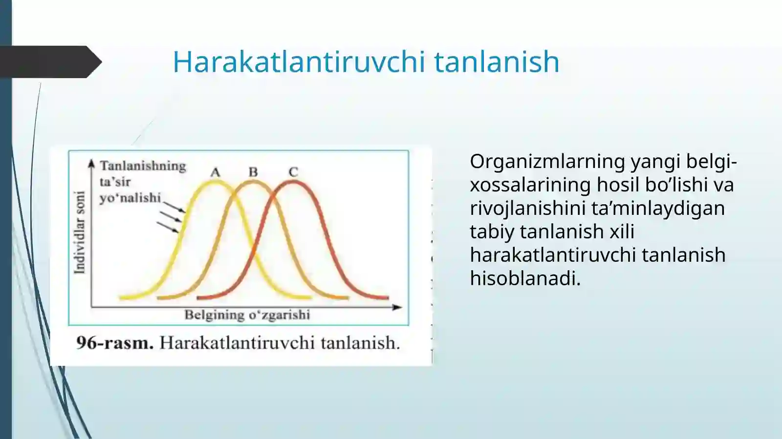 Evolutsiyani harakatga keltiruvchi omillar va mexanizmlar 3