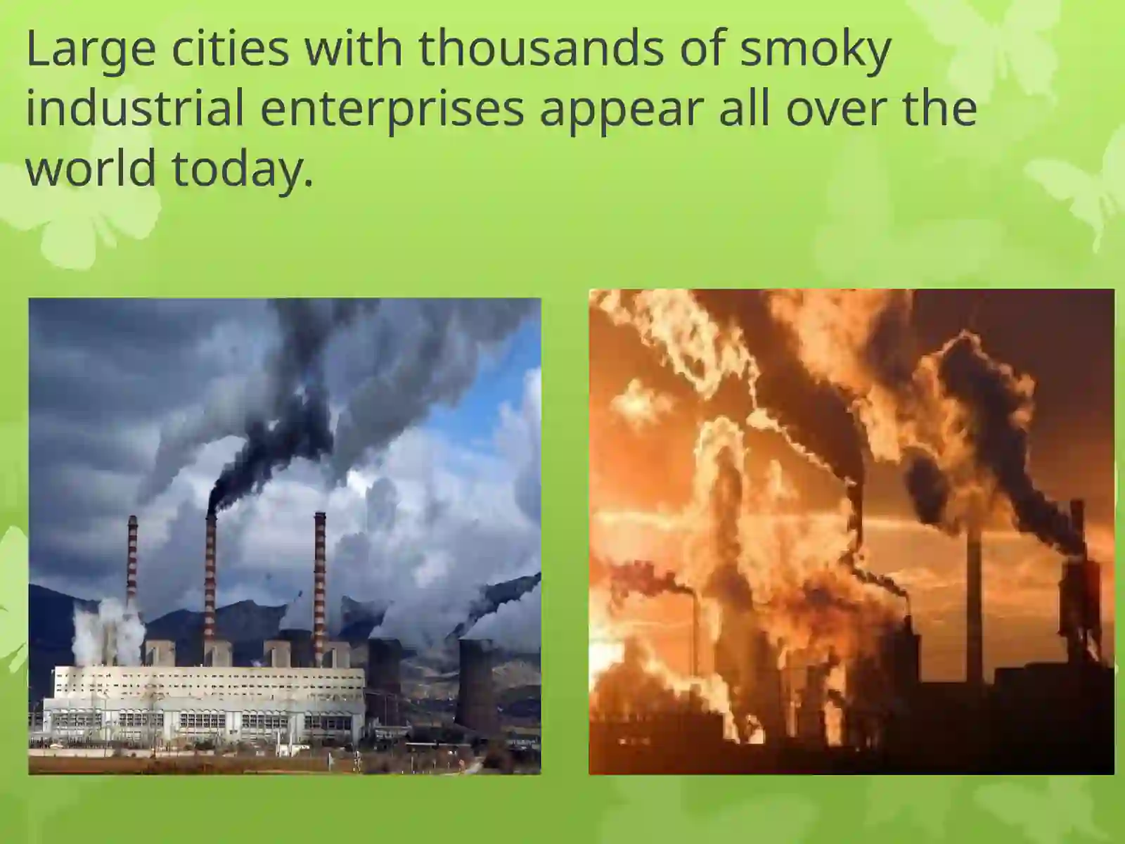 Ecological problems 3