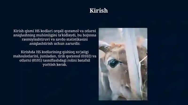 Korumol va zotdor otlarning tif tn kodi boʻyicha identifikatsiyalash 3